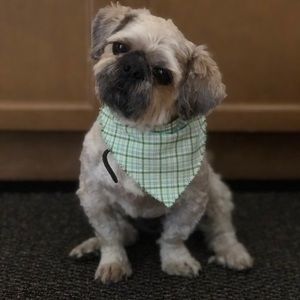 Meet your Posher, Krista